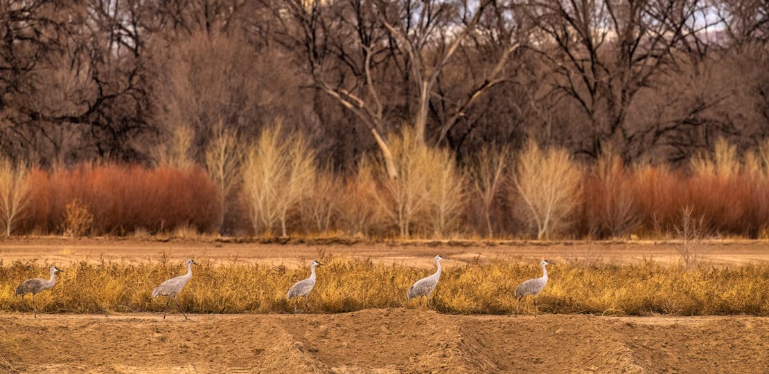 Gil Quintana/USFWS