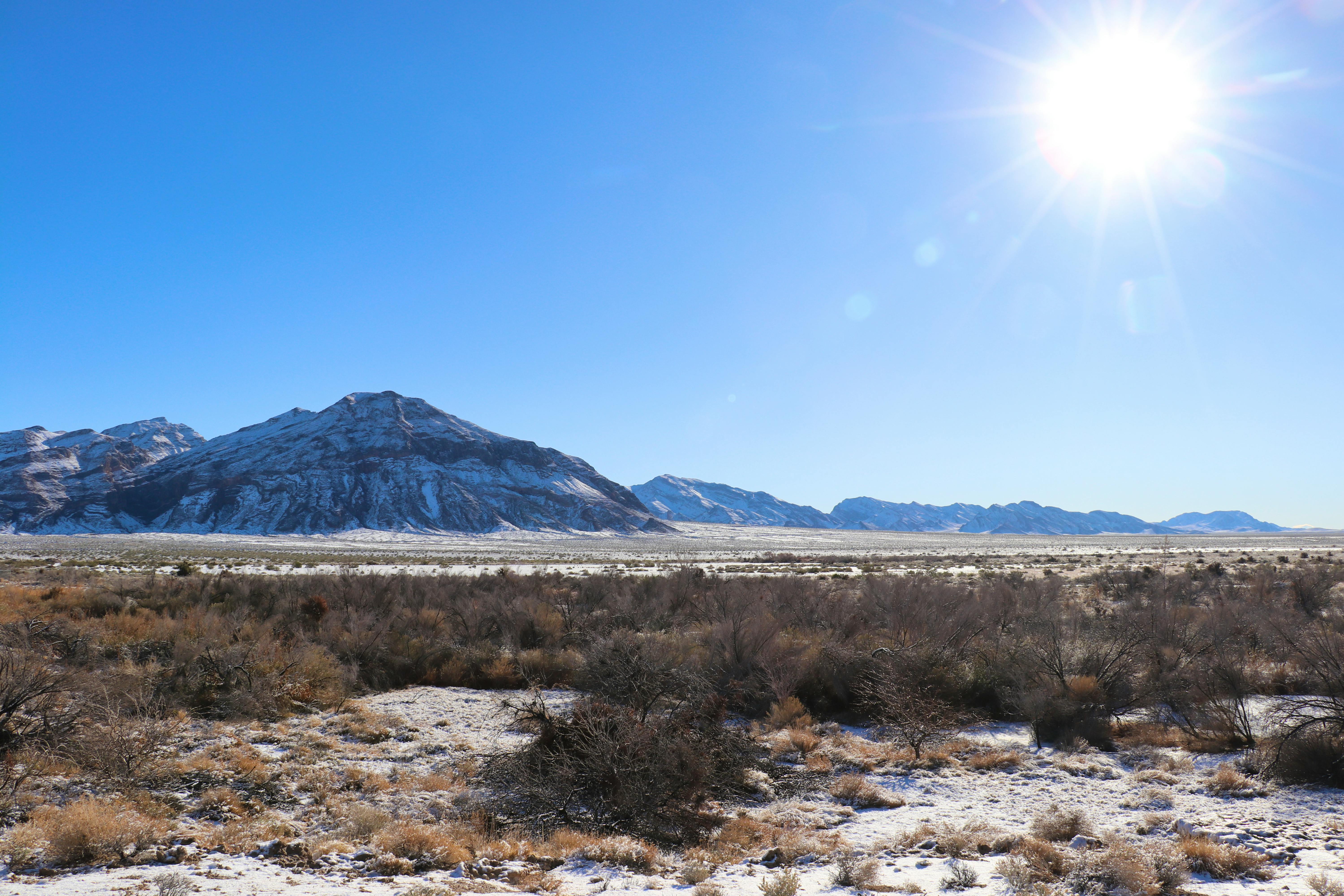 2024.01.11 - Ash Meadows National Wildlife Refuge - sun shining on snowy landscape - Nathan Marcy-Defenders of Wildlife.JPG