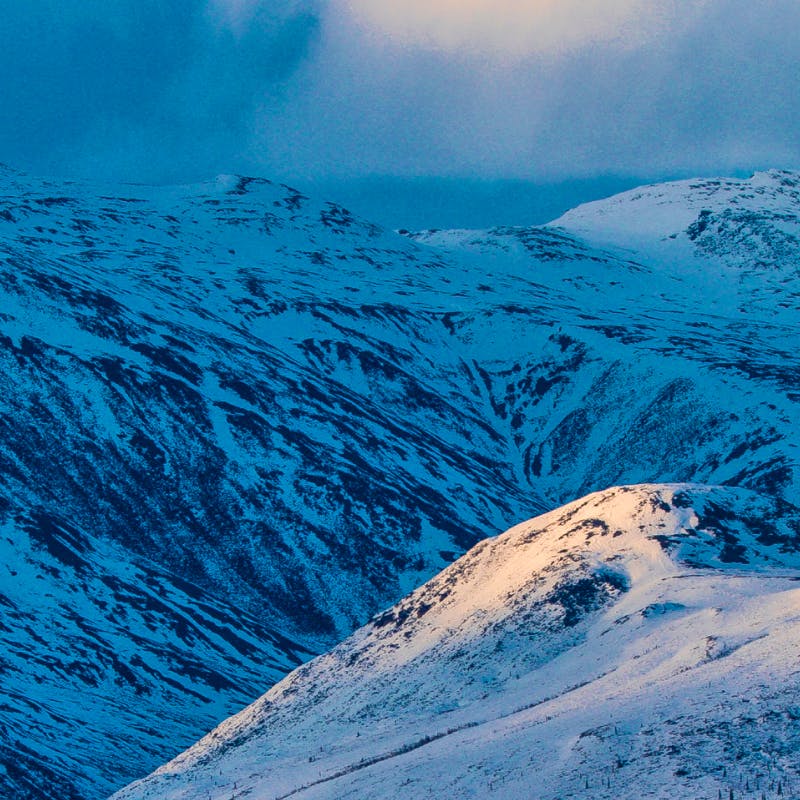 Arctic Refuge