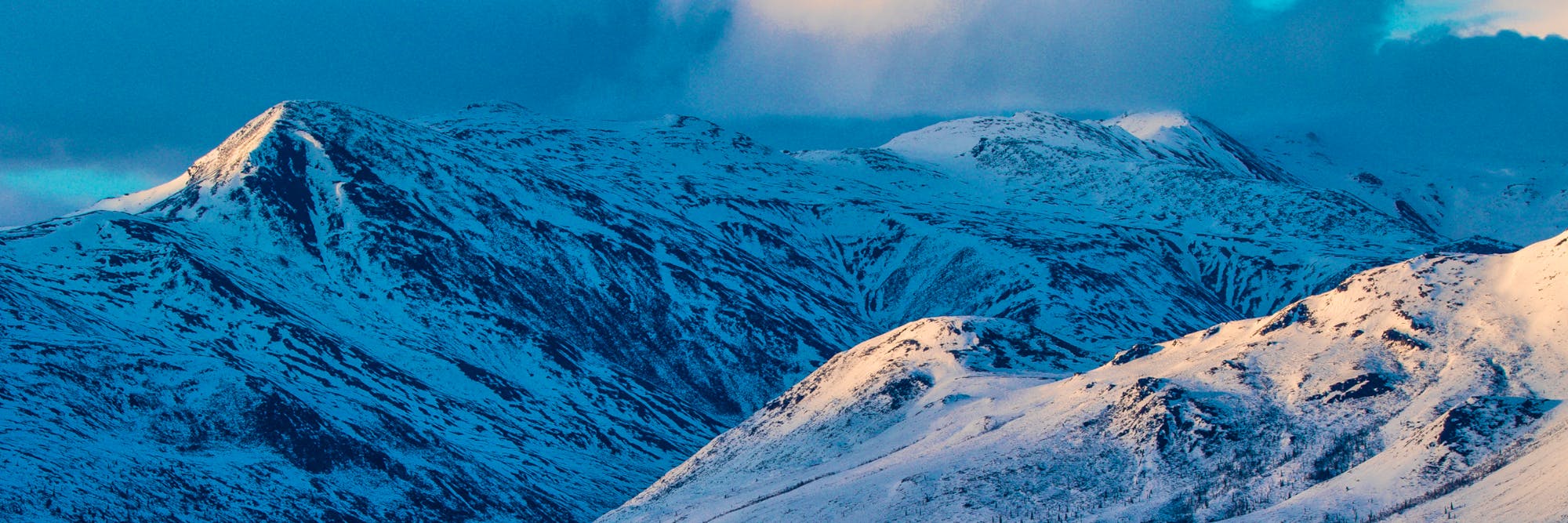 Arctic Refuge