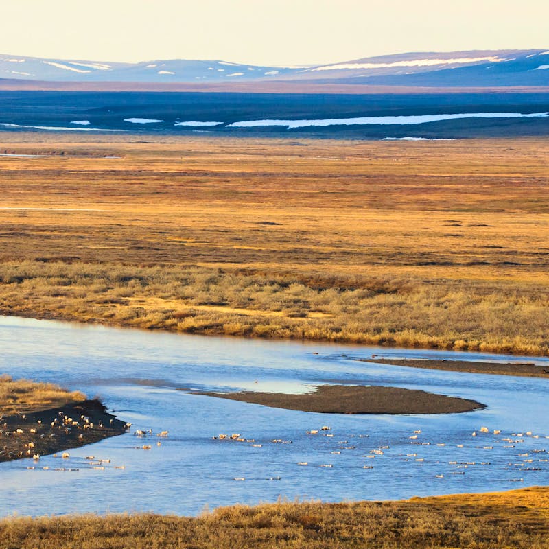 National Petroleum Reserve in Alaska