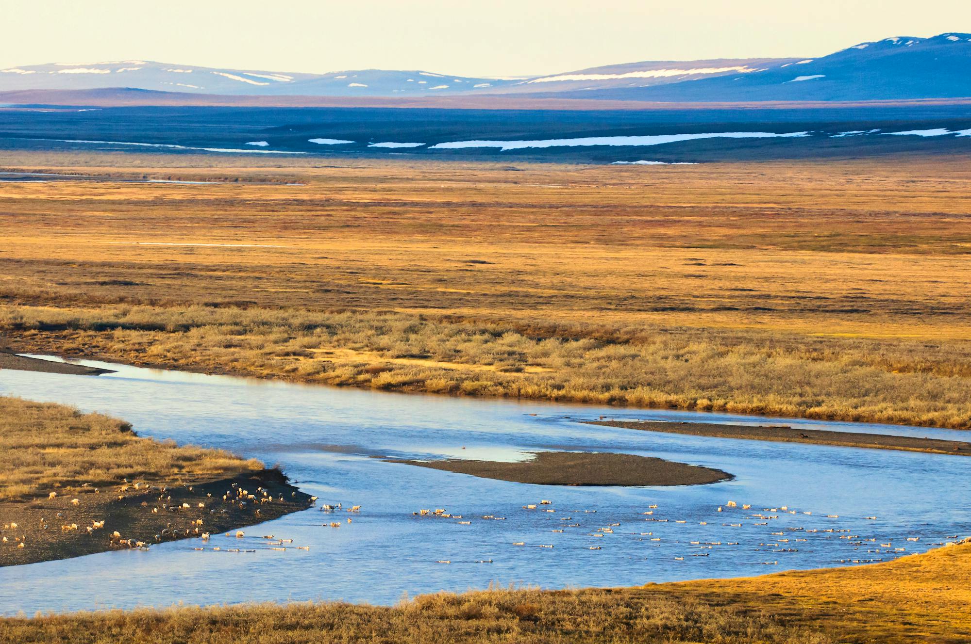 National Petroleum Reserve in Alaska