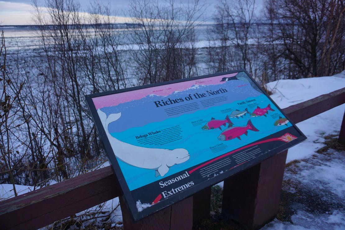 cook inlet sign