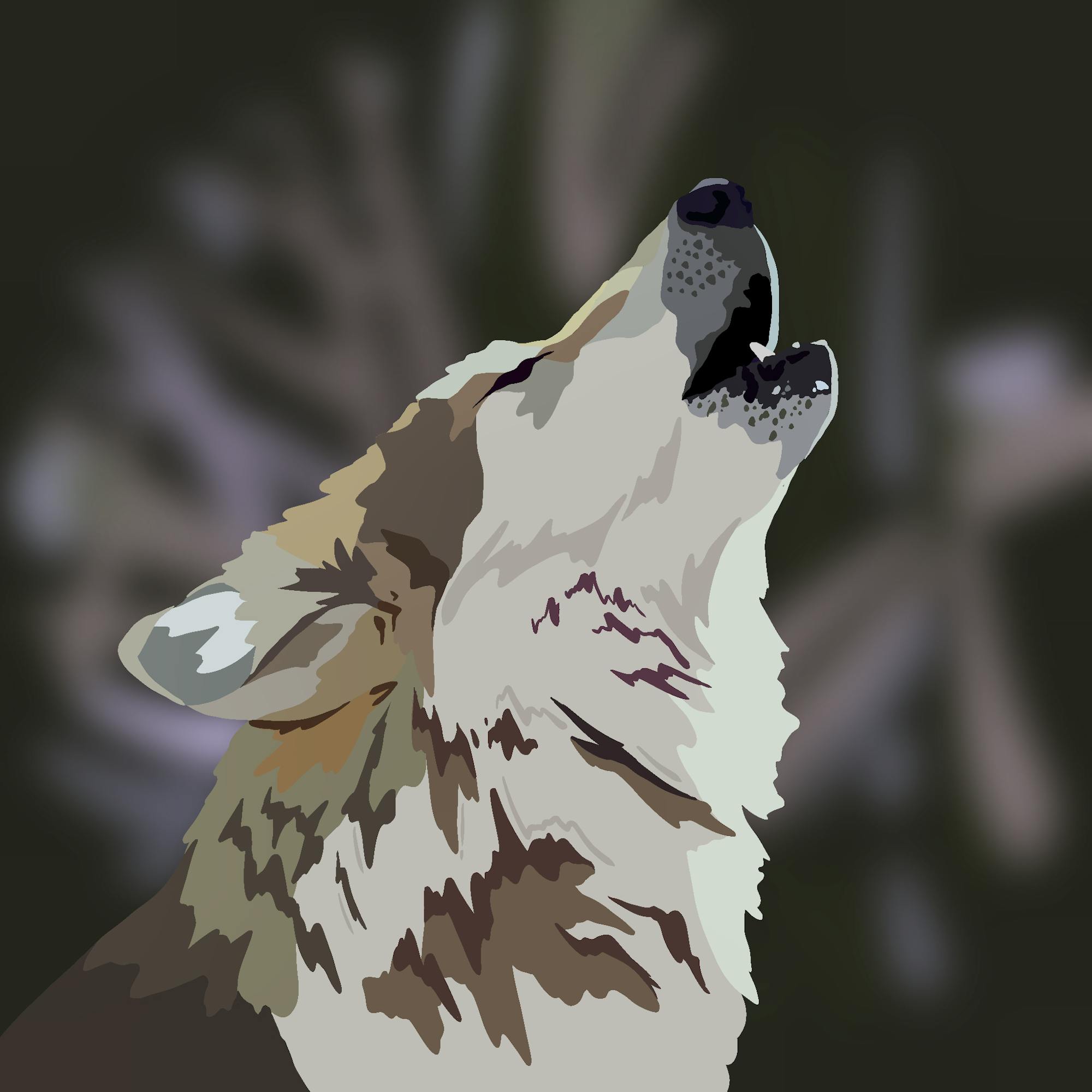 Wolf Illustration 2