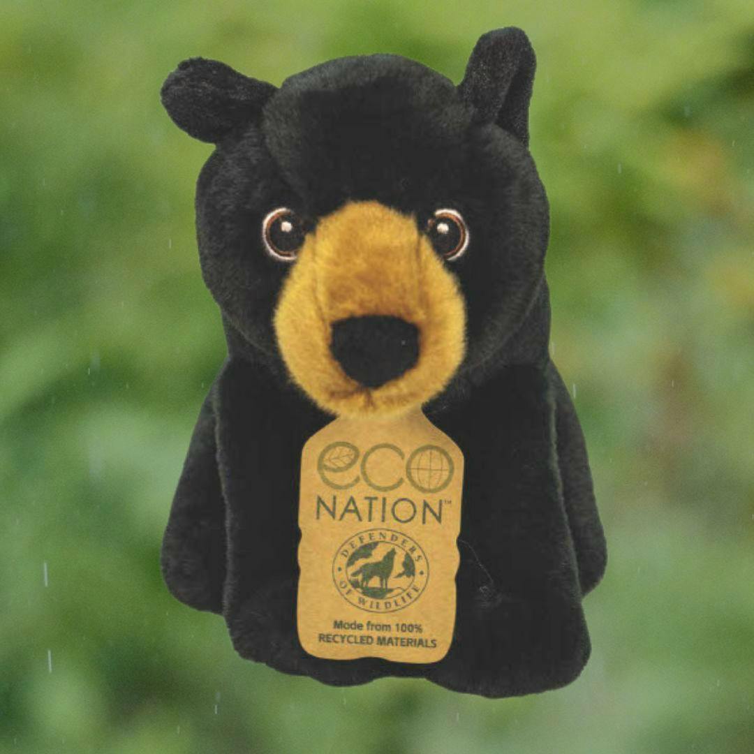 black bear - plushie with tag - with background