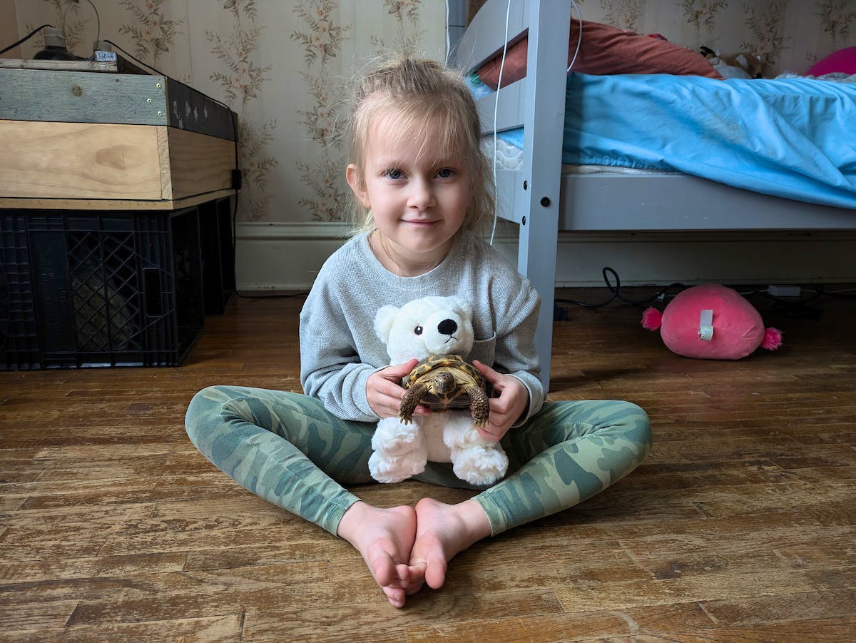 girl with polar bear plushie and tortoise on ground 