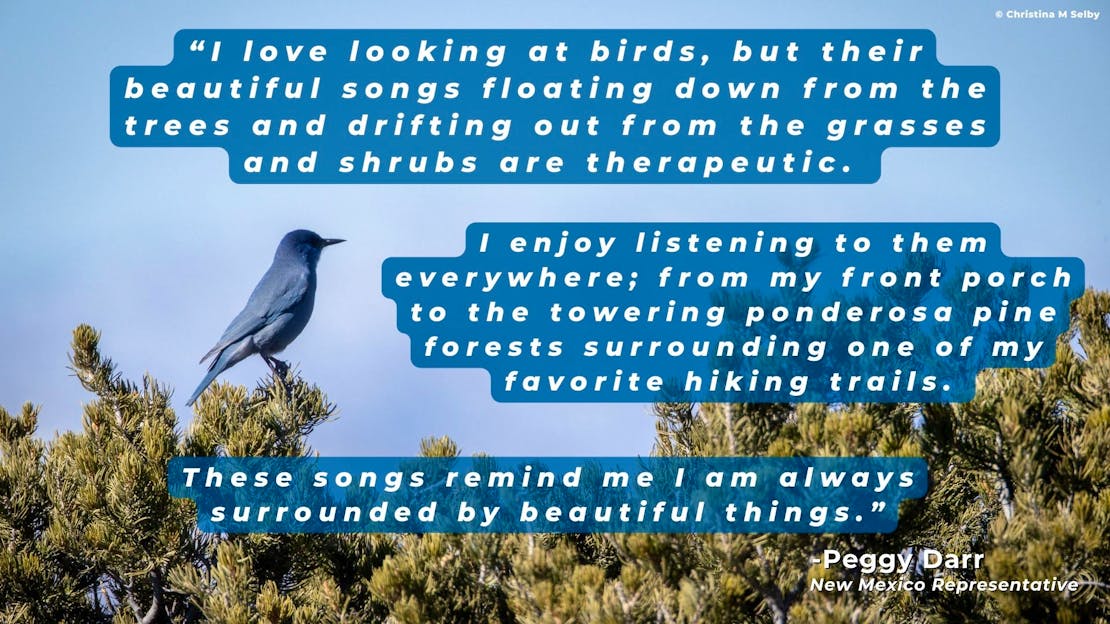 Earth day blog 2025 graphic 2