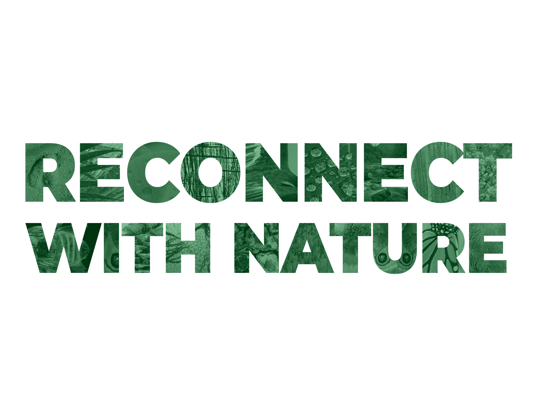 Reconnect with Nature
