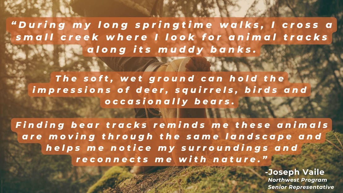 Earth day blog 2025 graphic