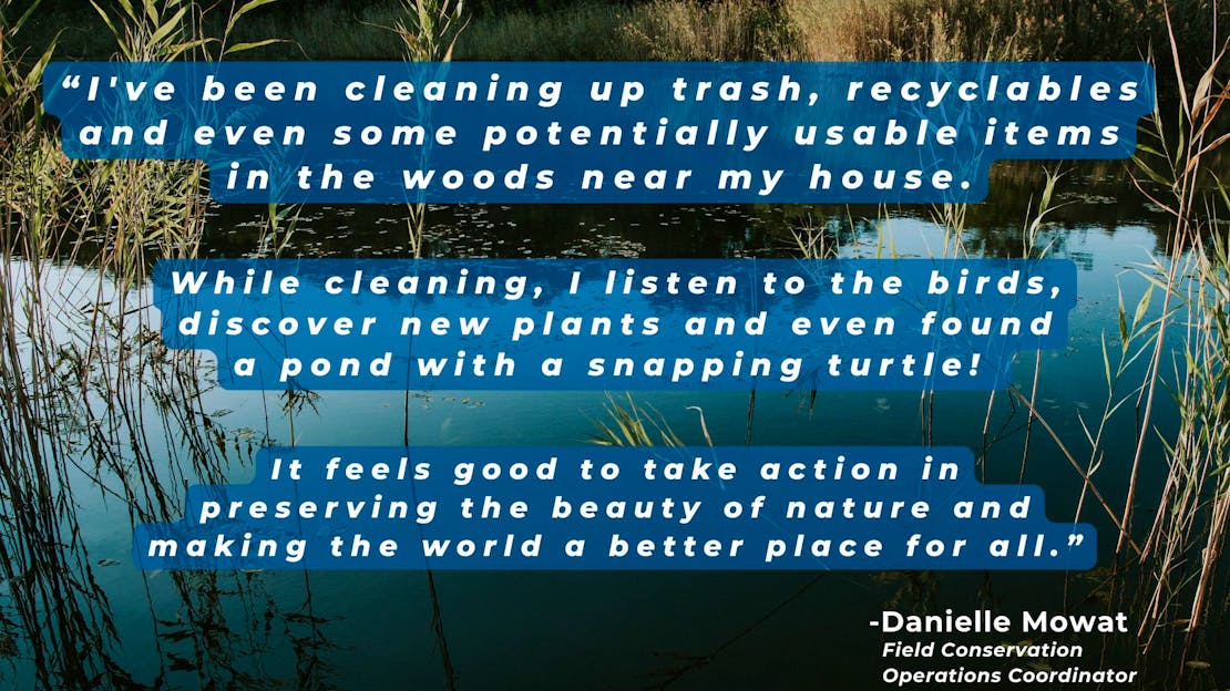 Earth day blog 2025 graphic