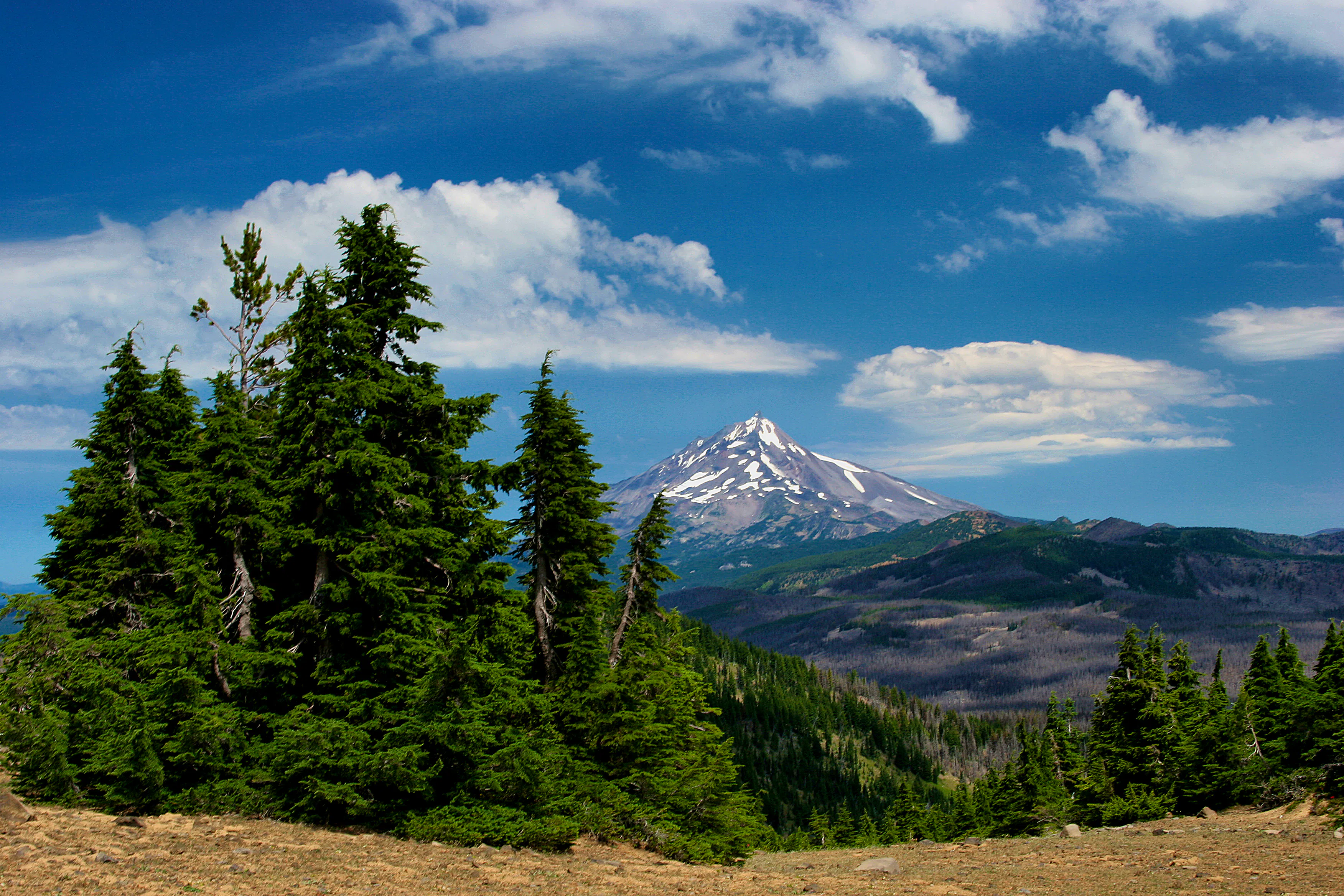 Mt. Jefferson Landscape, Deschutes National Forest