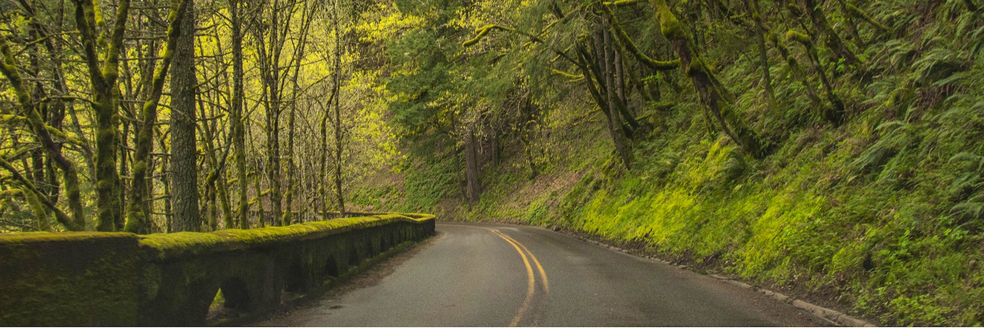 oregon road header