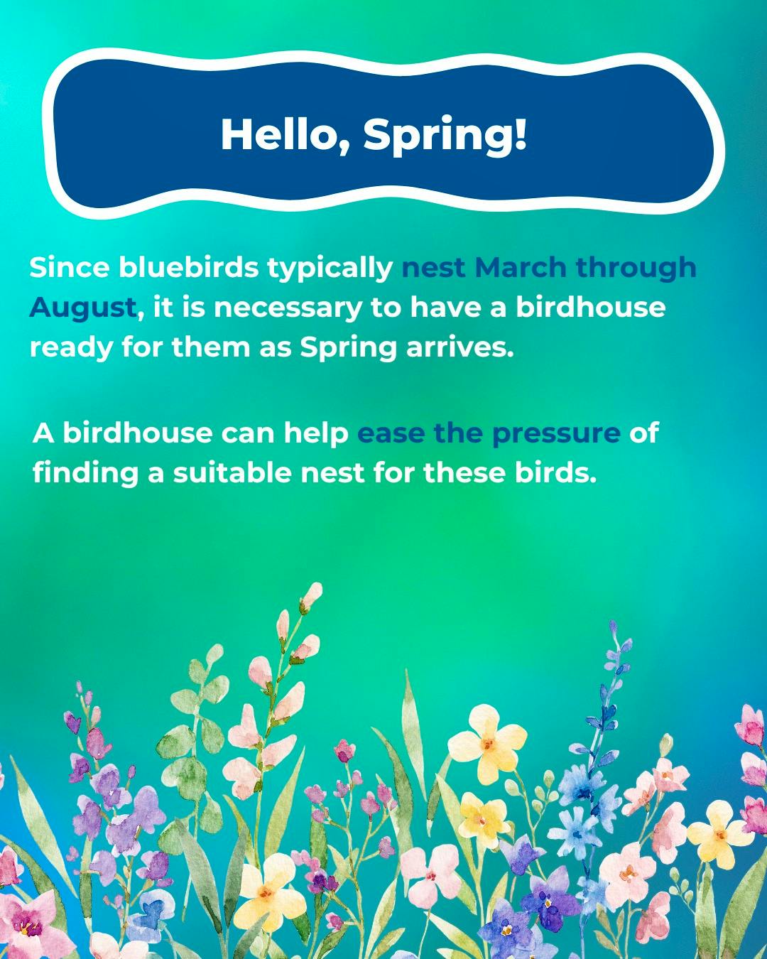 How to Install a Bluebird Birdhouse