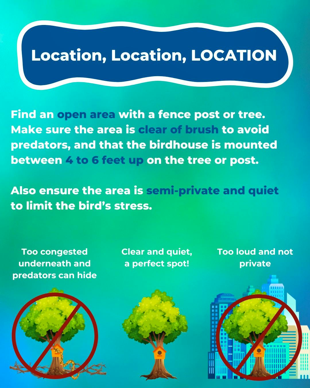 How to Install a Bluebird Birdhouse