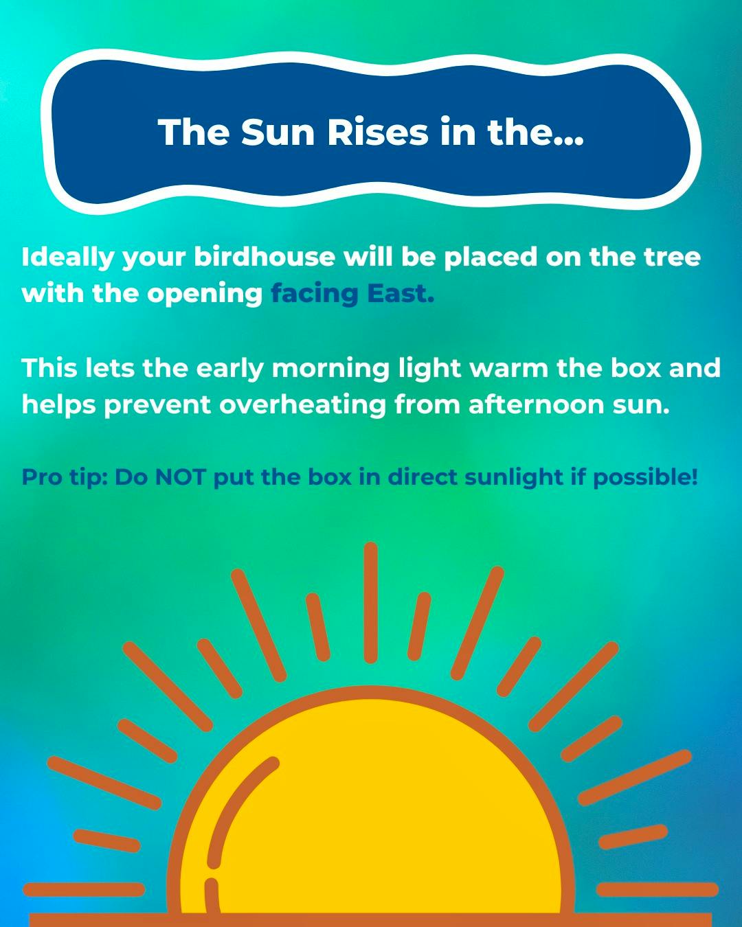 How to Install a Bluebird Birdhouse