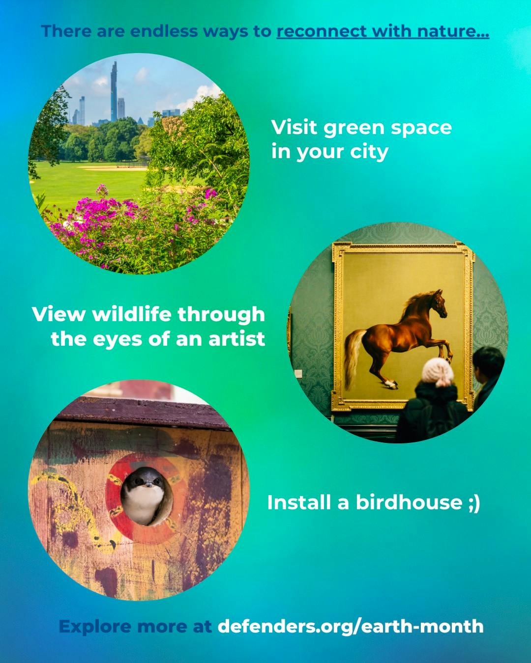 How to Install a Bluebird Birdhouse