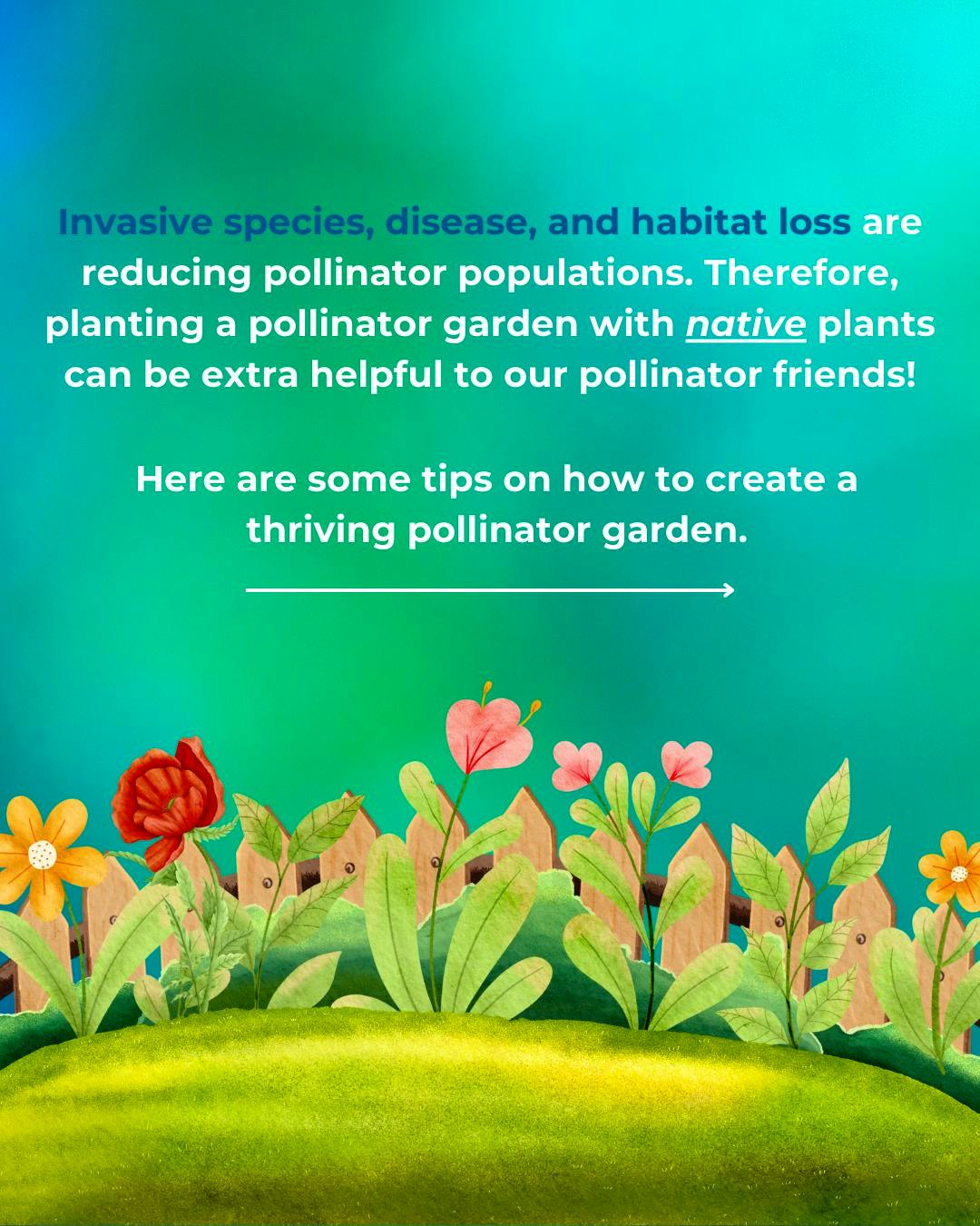 How To Plant a Pollinator Garden