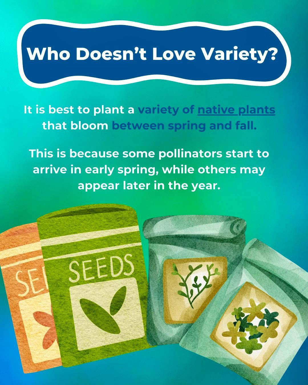 How To Plant a Pollinator Garden