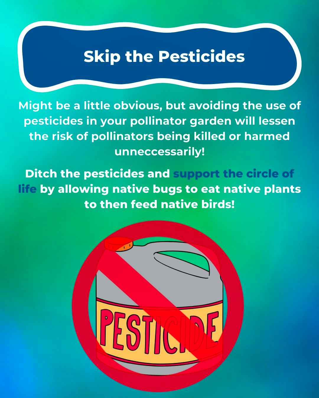 How To Plant a Pollinator Garden