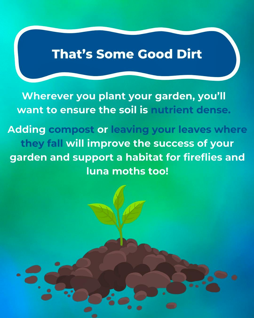 How To Plant a Pollinator Garden