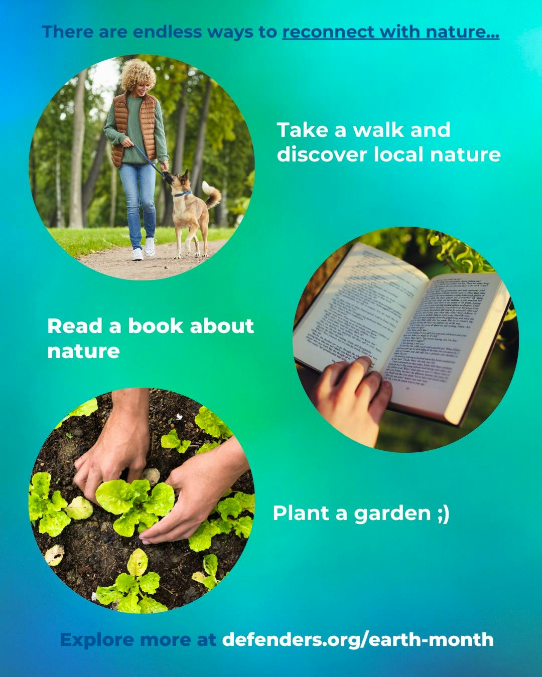 How To Plant a Pollinator Garden