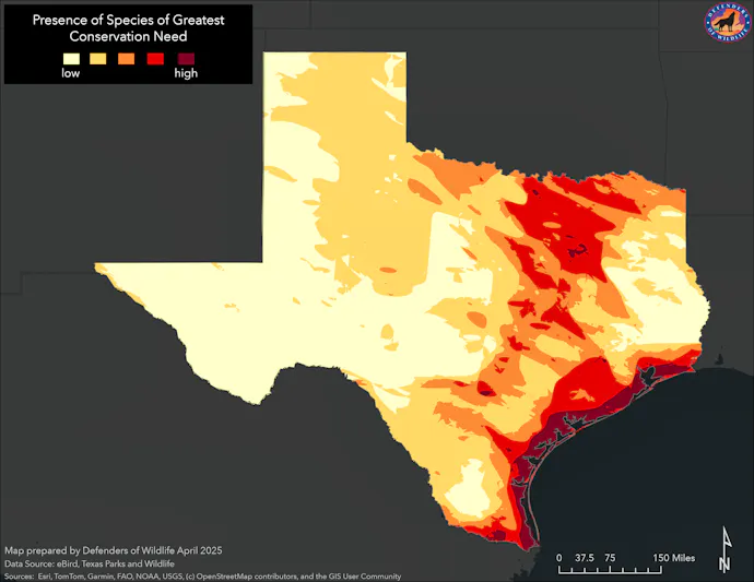 Using Maps to Track Migratory Birds Collisions in Texas | Defenders of ...