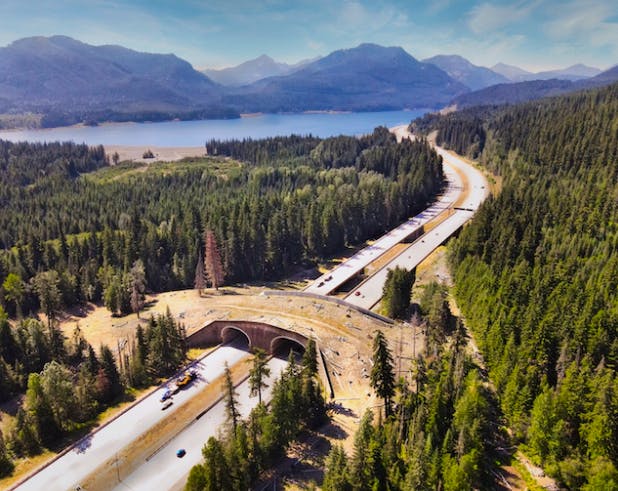 i-90 wildlife crossing