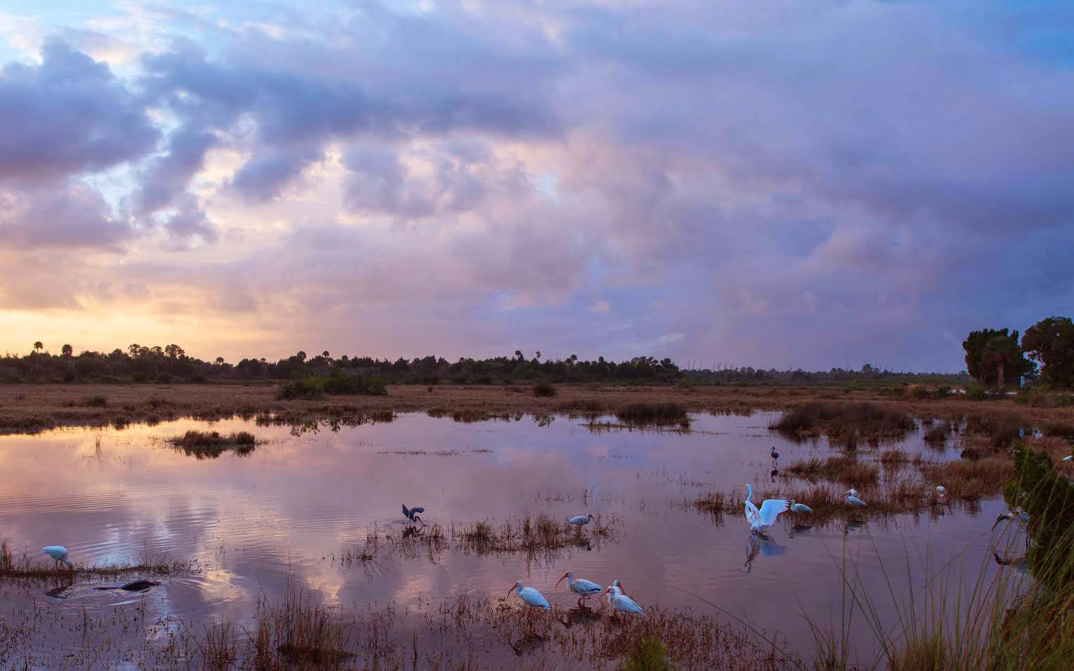 Merrit Island National Wildlife Refuge at sunset