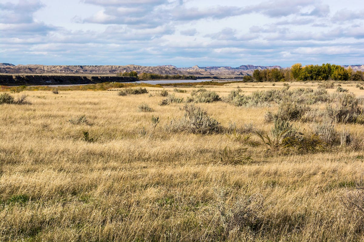Landscape with Yellowstone River in Distance
