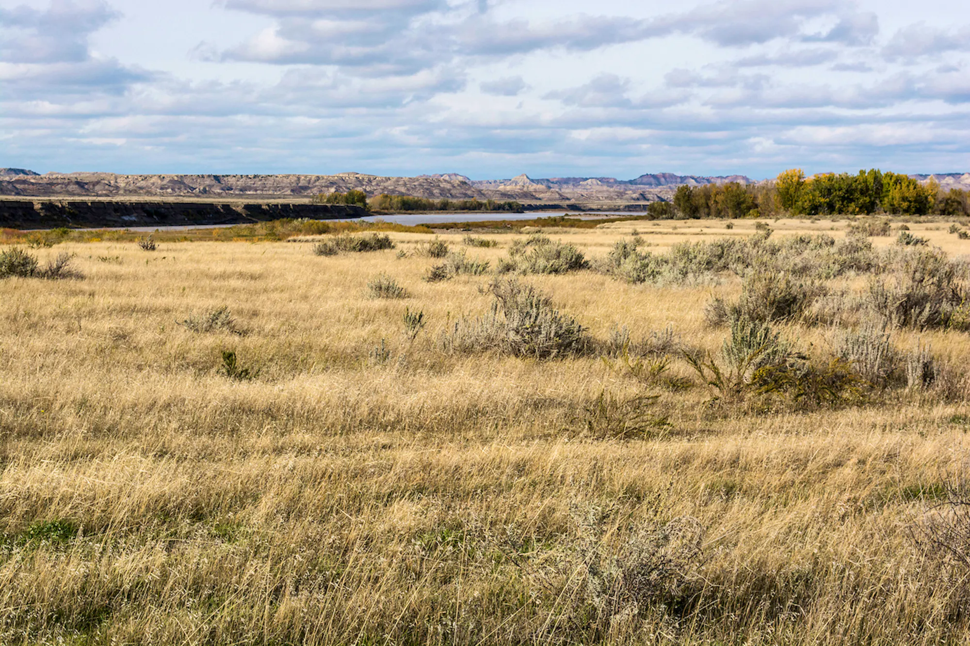 Landscape photo of Montana with sagebrush sea in the foreground and Yellowstone River in the distance