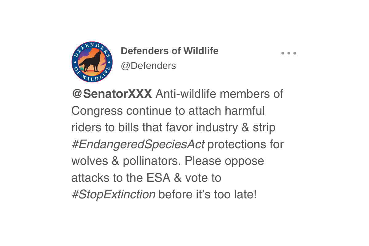 @SenatorXXX Anti-wildlife members of Congress continue to attach harmful riders to bills that favor industry & strip #EndangeredSpeciesAct protections for wolves & pollinators. Please oppose attacks to the ESA & vote to #StopExtinction before it’s too late!
