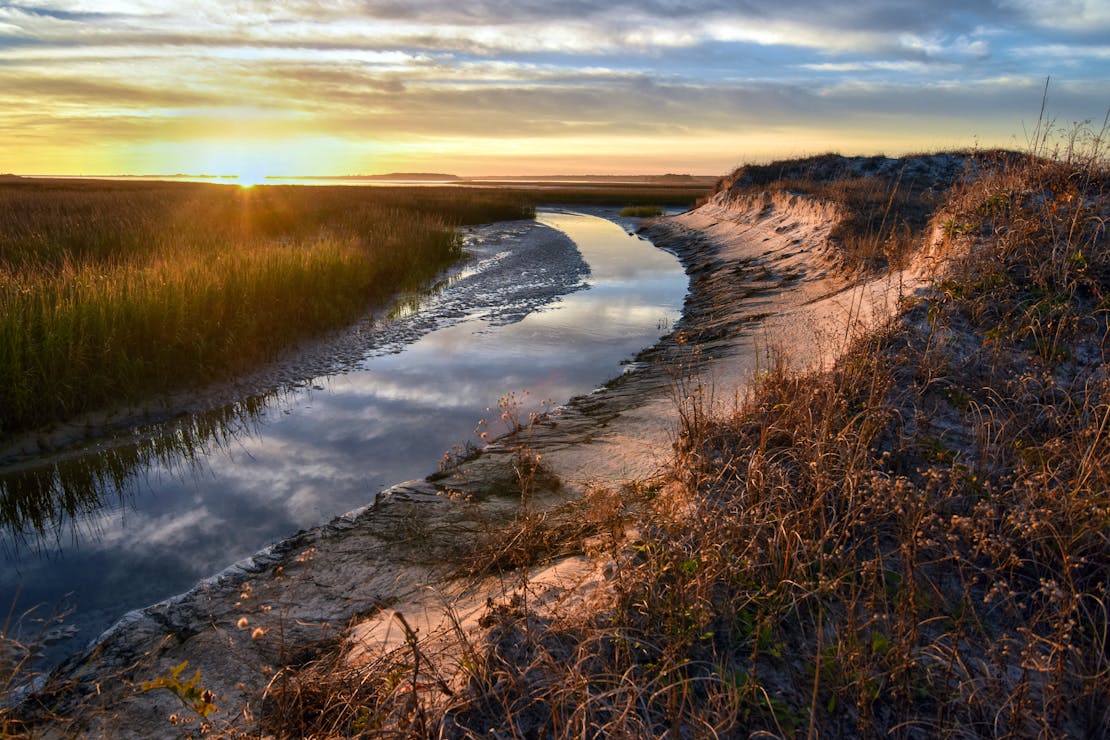 atlantic salt marsh