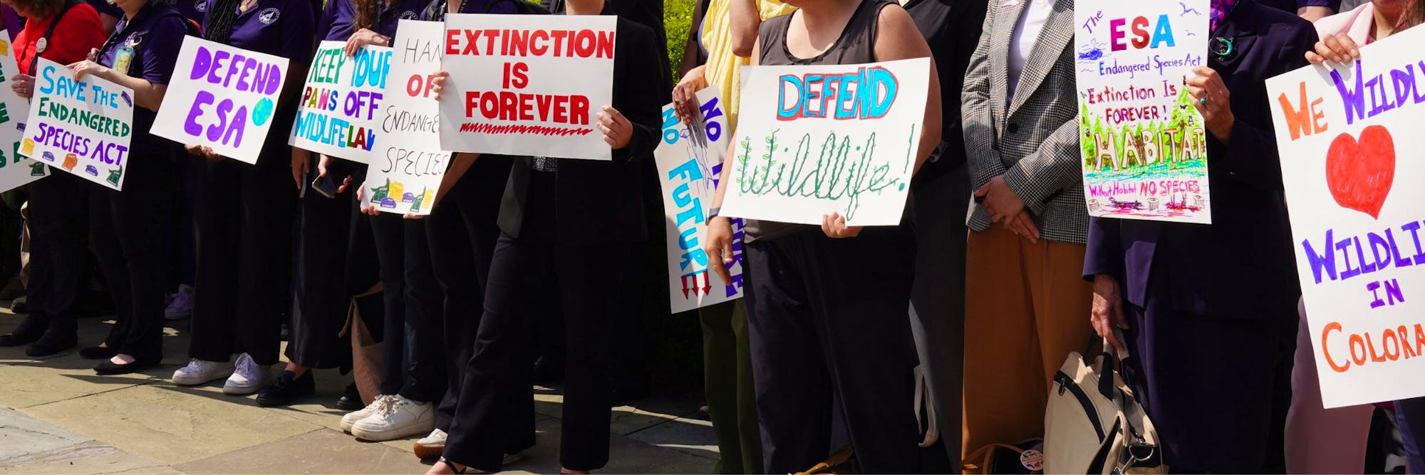 Defend the Endangered Species Act Signs at Capitol Hill