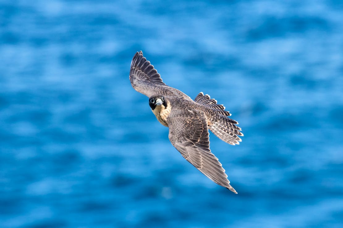 Ken Griffiths/iStockphoto