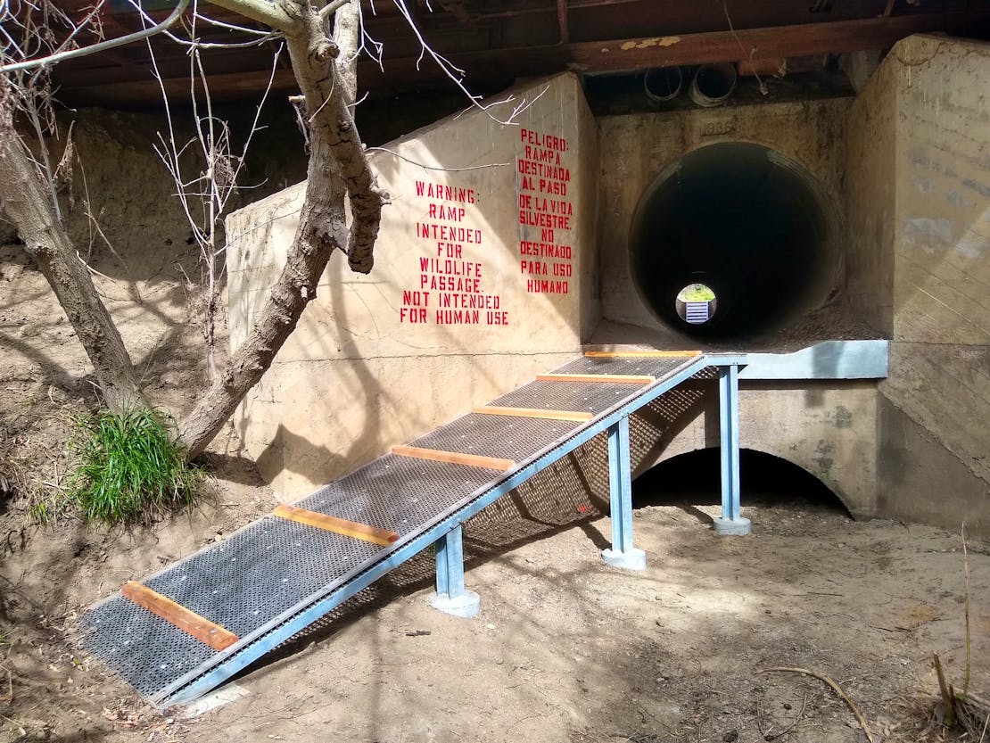 wildlife crossing, california
