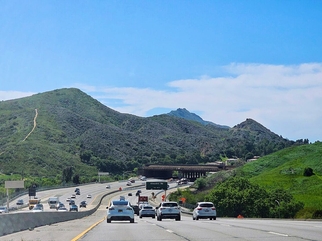 CA Wildlife crossing