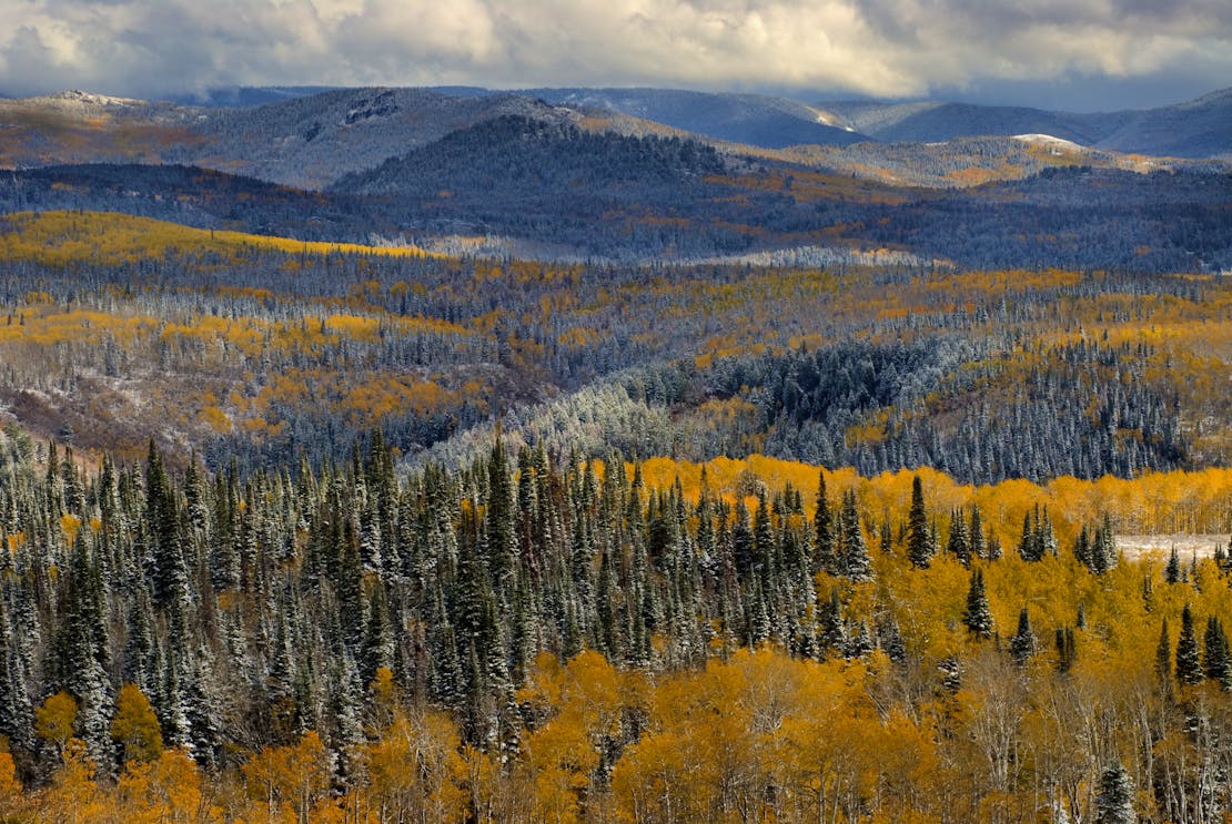 Medicine Bow Mountains and National Forest