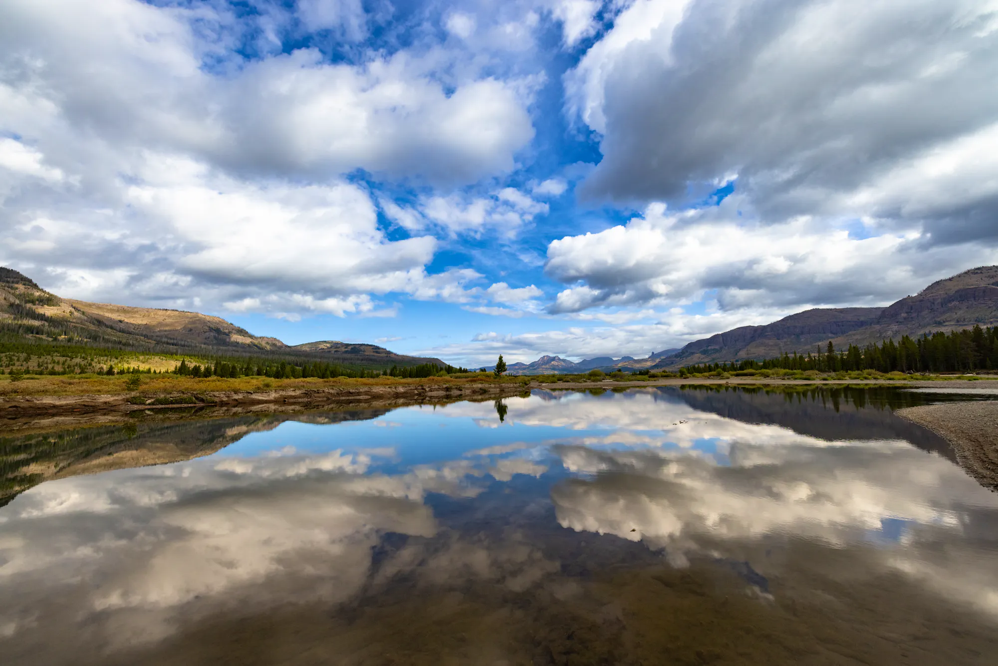 Defenders of Wildlife Announces Jake Li as New Vice President of ...