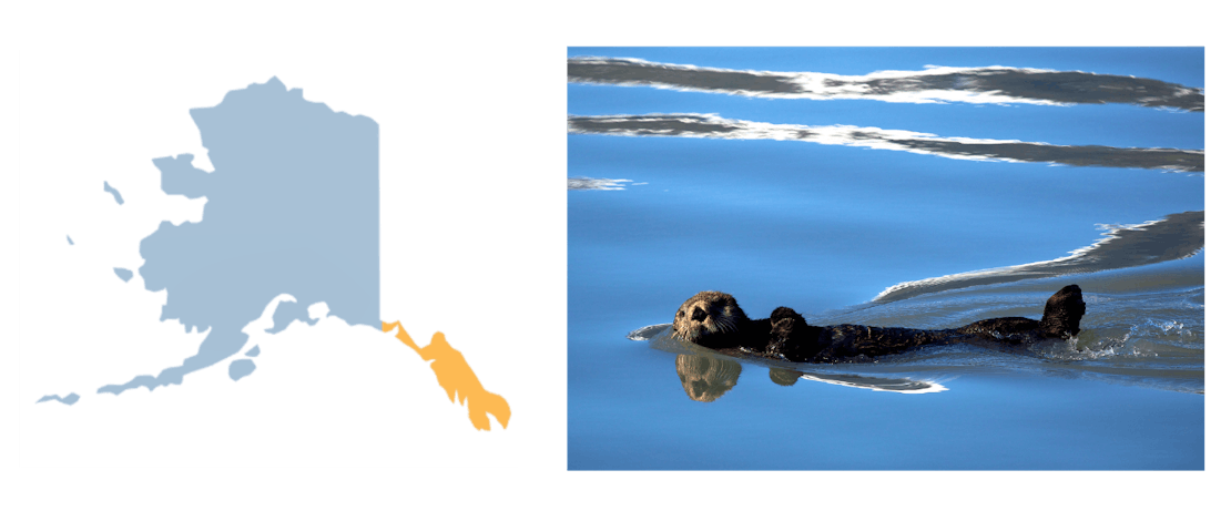 southeast otter