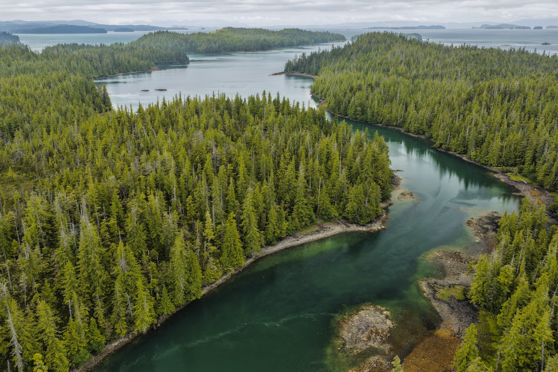 Tongass