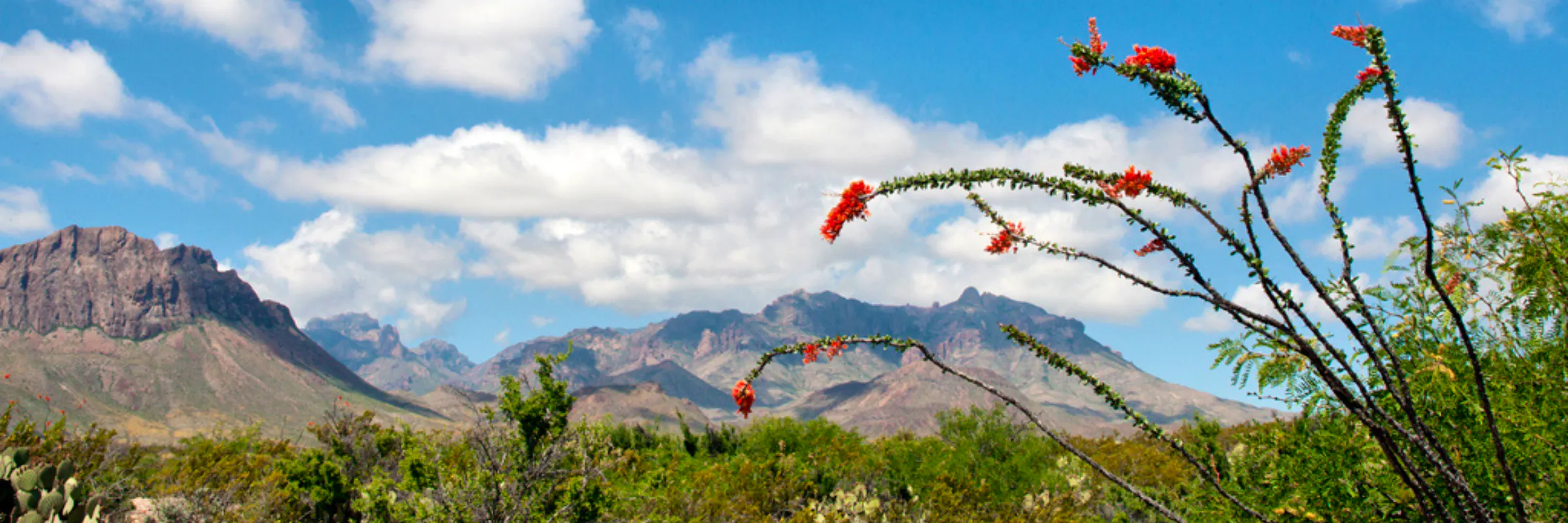 big bend national park