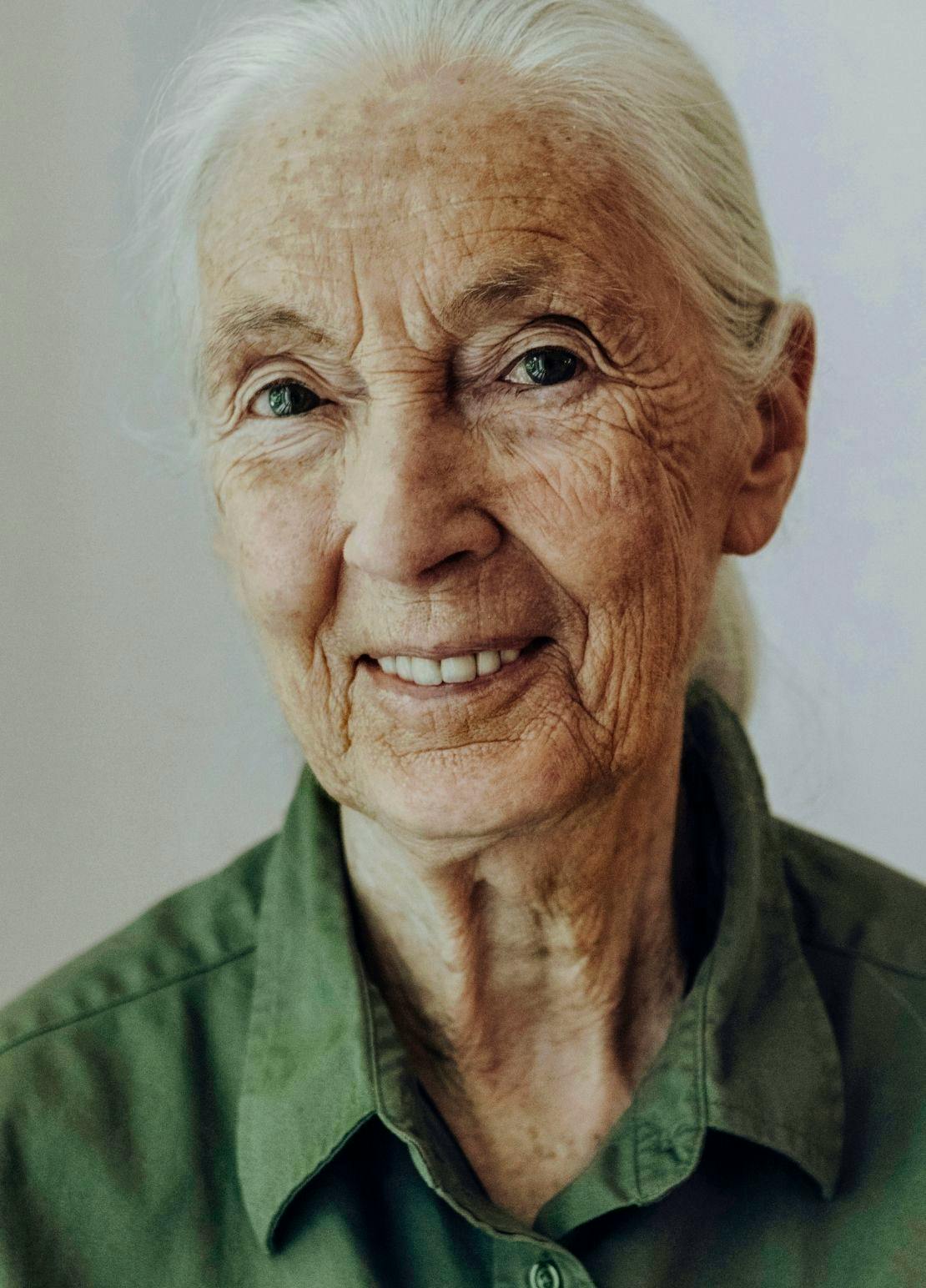 jane goodall