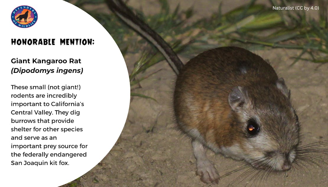 creepy but cool graphic