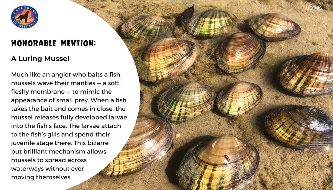 creepy but cool graphic 3