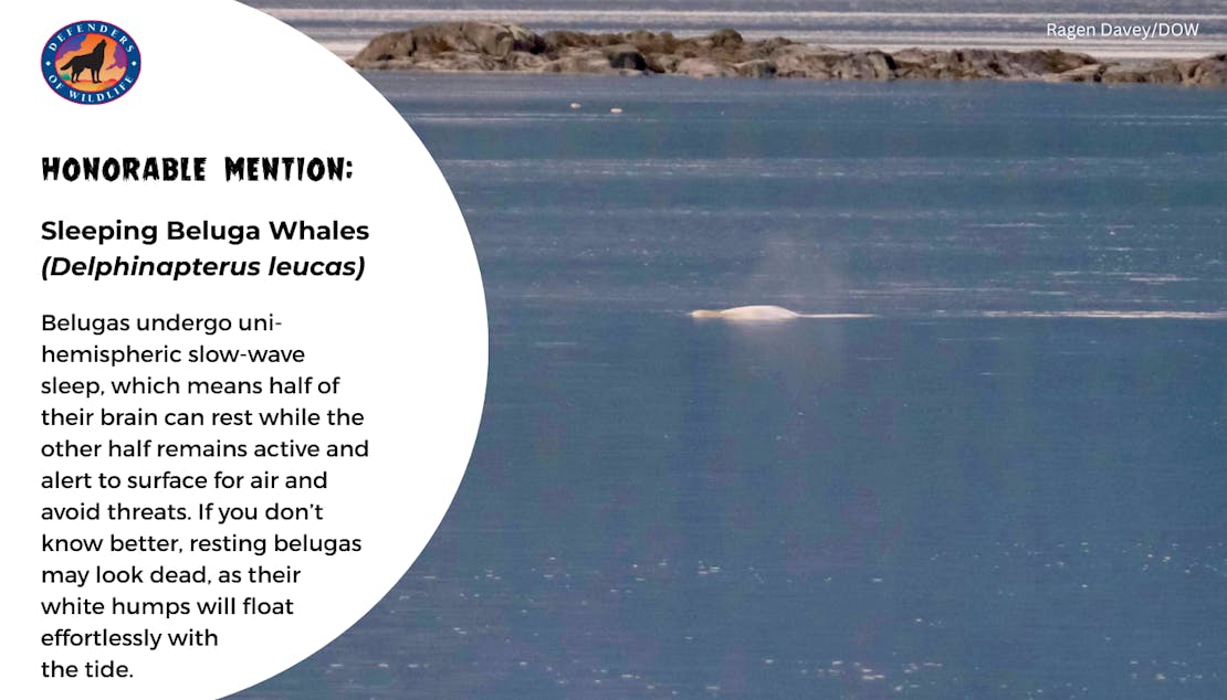 creepy but cool grpahic