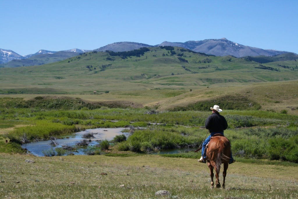 Range Rider on mountain landscape
