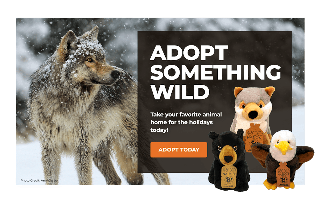 Adoption Lightbox MULTI