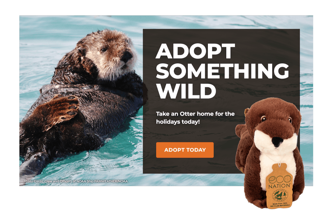Adoption Lightbox OTTER