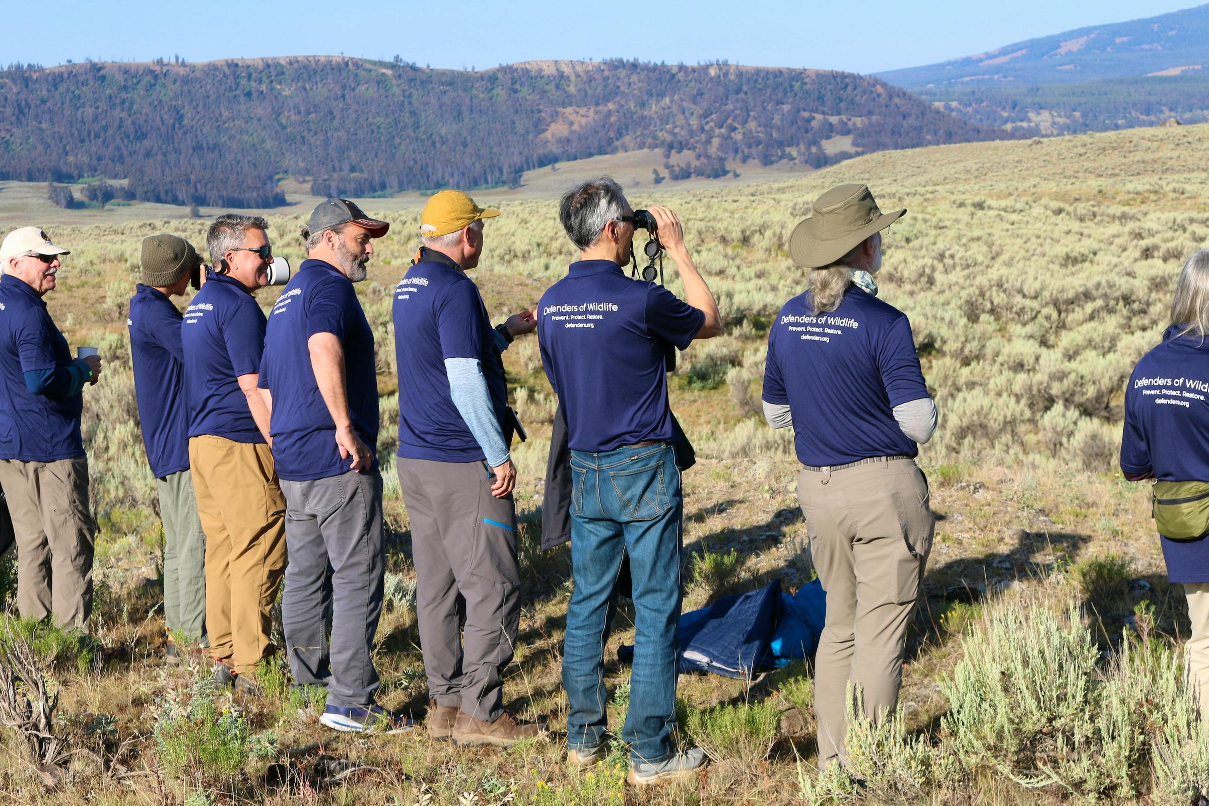 Yellowstone Trip Defenders of Wildlife