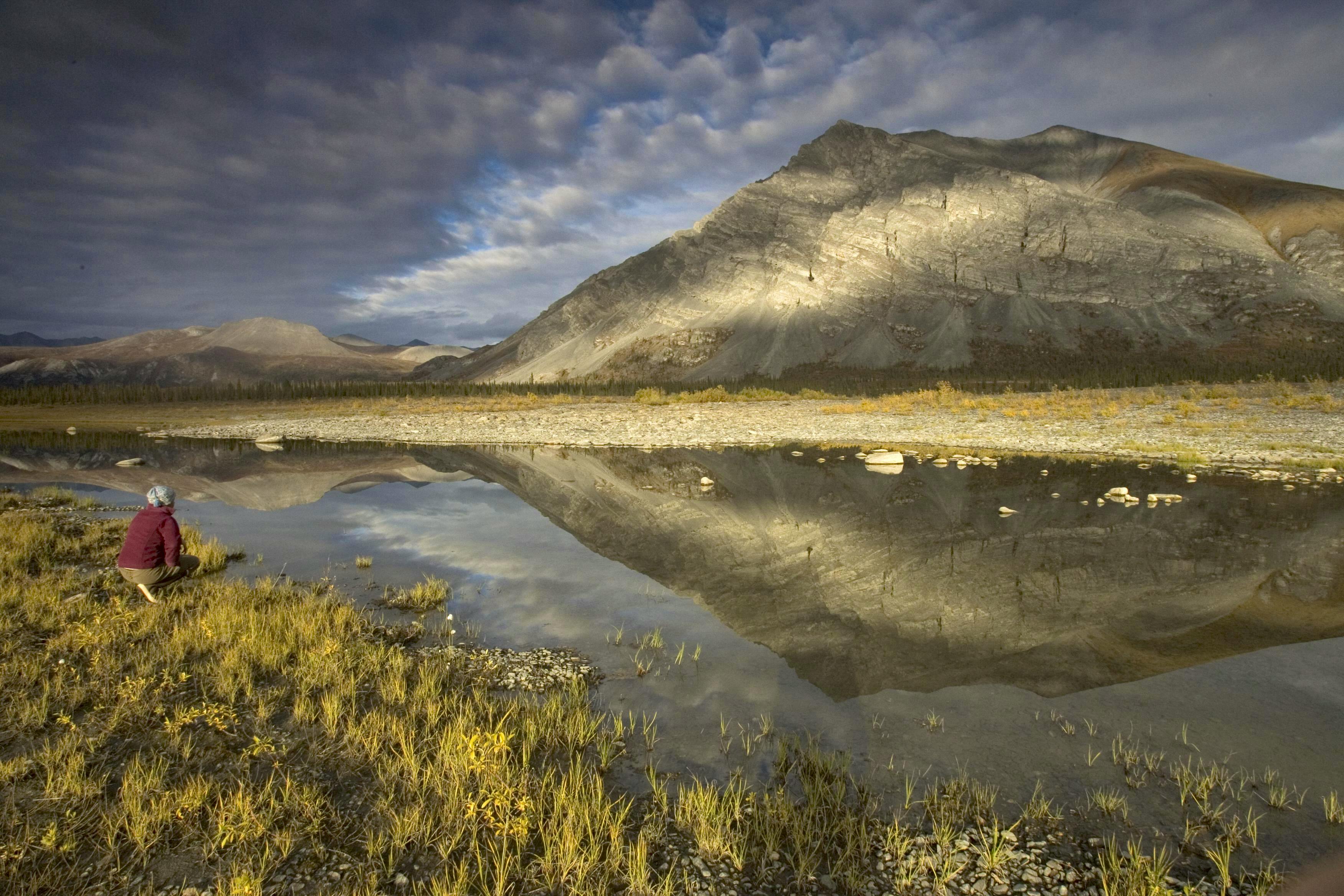 Landscape of Arctic National Wildlife Refuge 